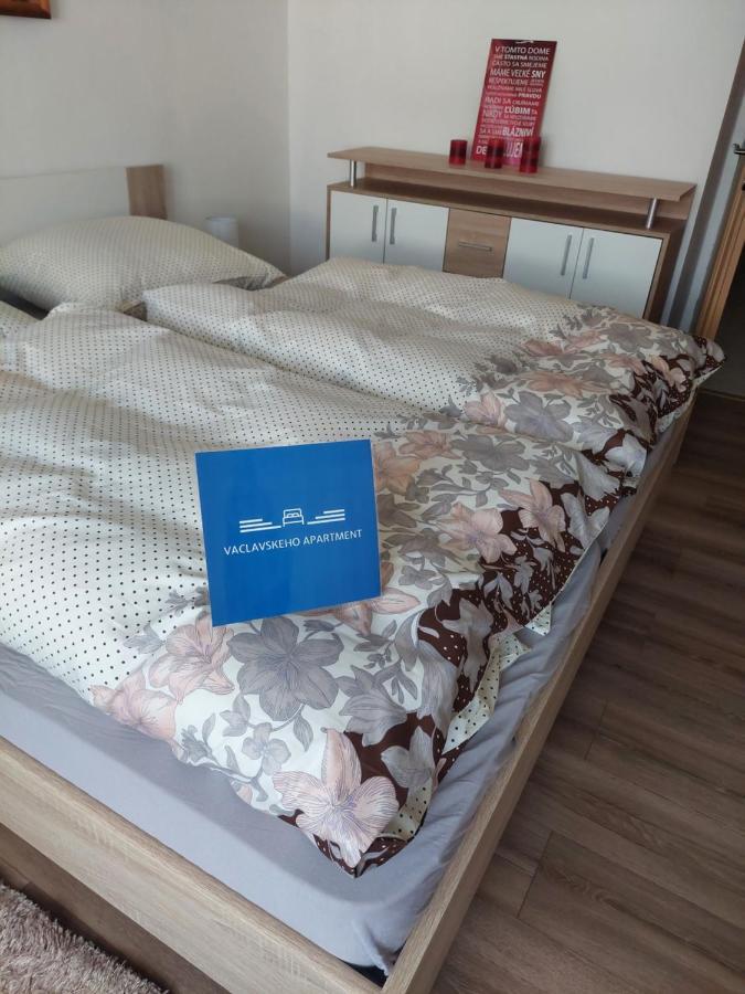 Vaclavskeho Apartment Medzilaborce Buitenkant foto