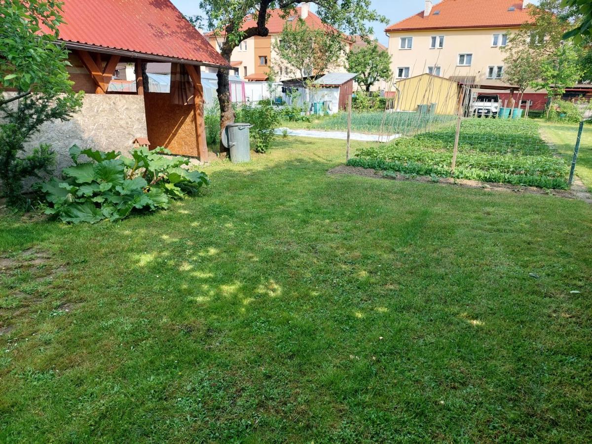 Vaclavskeho Apartment Medzilaborce Buitenkant foto